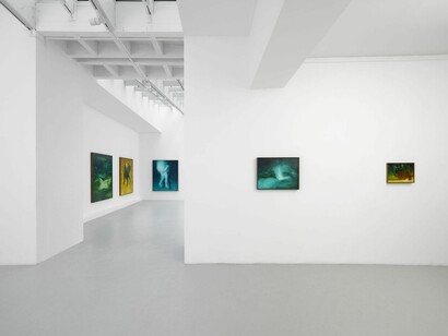 Xie Lei, Mort heureuse, exhibition view. Courtesy of Semiose Gallery