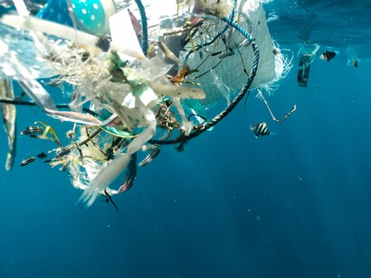 Com o tema Planeta Água: a Cultura Oceânica para Enfrentar as Mudanças Climáticas no Meu Território. O evento reúne comunidades, escolas e centros de pesquisa. Ele mostrou como cada unidade federal está se engajando em ações para explorar e cuidar melhor de seus rios e mares