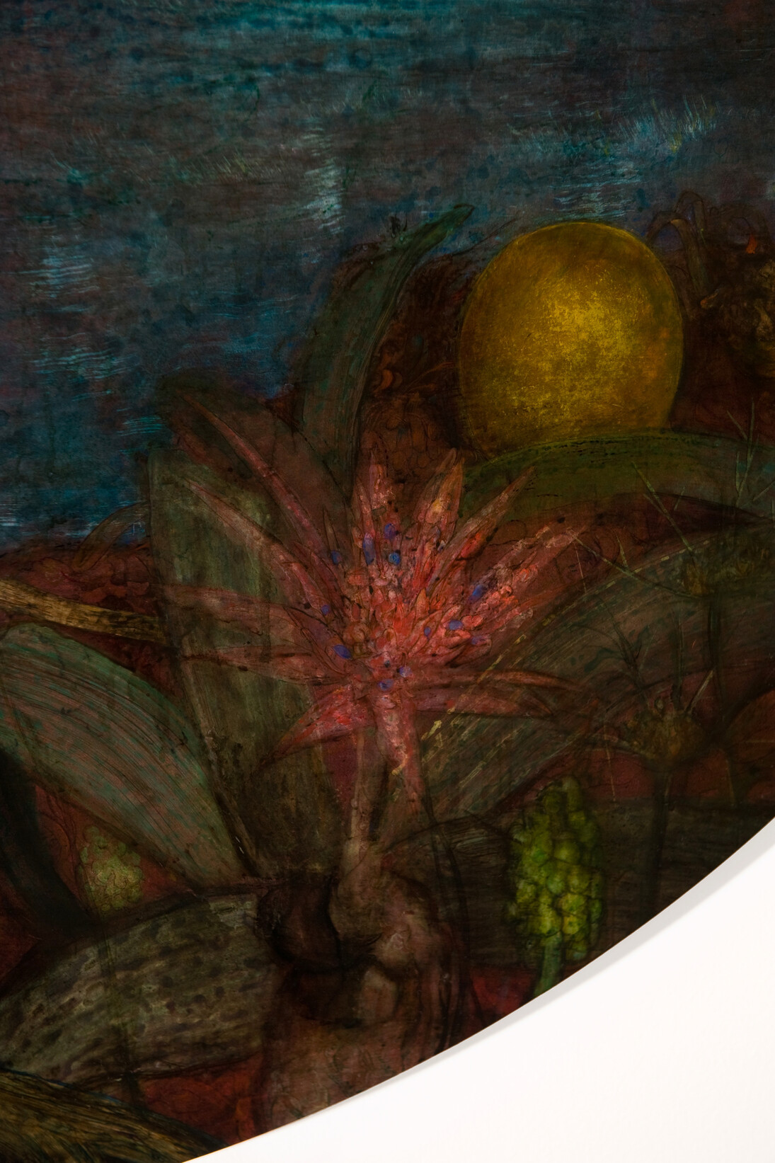 Nick Fox, Renaissance (detail), 2012, acrylic and ink on aluminium panel, 120 cm diameter
