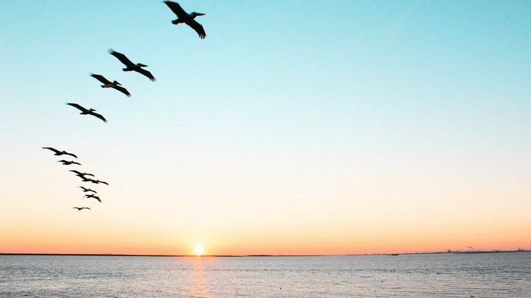 As águas claras do pensar criativo