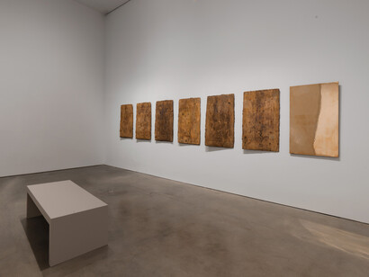 Giuseppe Penone, The reflection of bronze, exhibition view. Courtesy of Gagosian