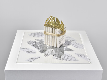 Diadema, 2019, Courtesy Marian Goodman Gallery and the Artist
