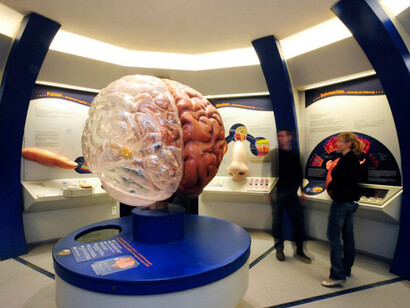 Journey into the Human Body. Courtesy of Haus der Natur 