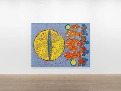 Terry Winters, Along the river, exhibition view. Courtesy of Modern Art