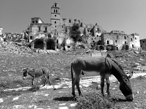Nel 1963 una terribile frana portò al cedimento di svariate abitazioni
