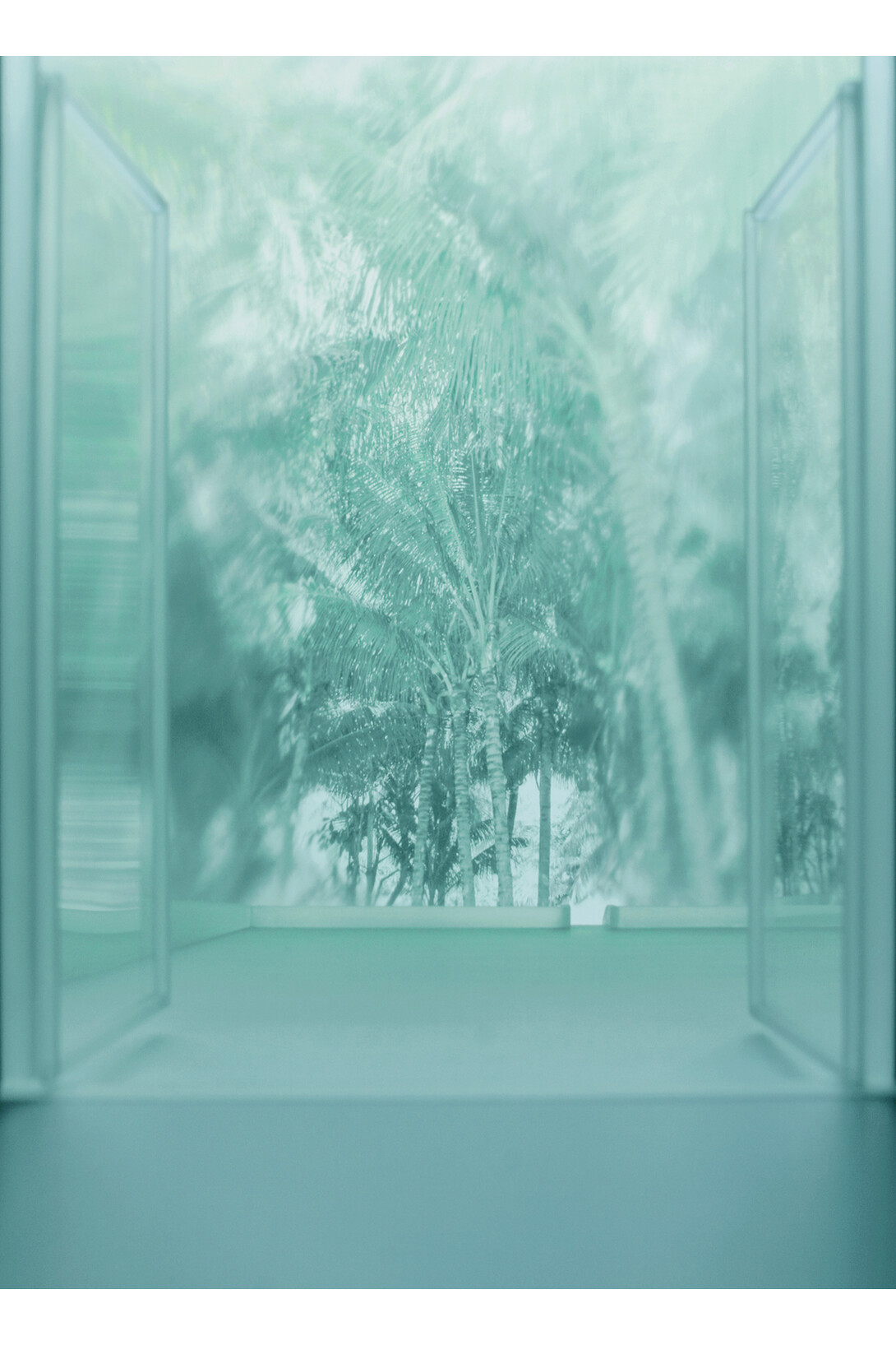 Mayumi Terada, courtyard with coconut tree, 151001p, 2015, 56 x 40 cm, pigment inkjet print