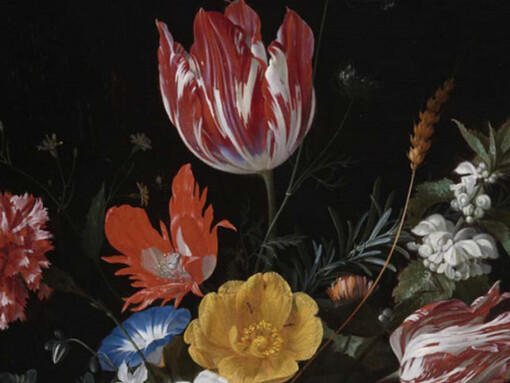 In the Age of Rembrandt. Courtesy of ROM