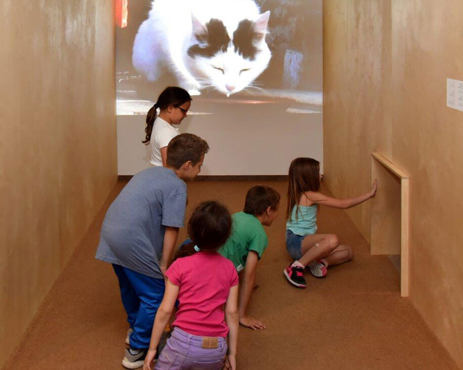 Cats and Dogs. Courtesy of Israel Museum