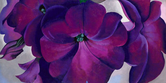 Georgia O'Keeffe, 'Petunias', 1925. Oil on hardboard, 18 x 30 in. (45.7 x 76.2 cm). Museum purchase, gift of the M. H. de Young Family