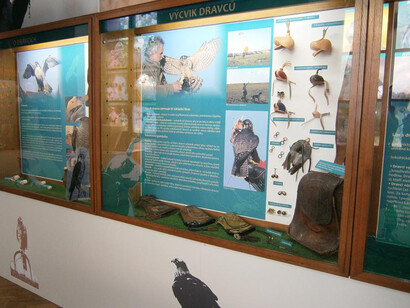 Falconry. Courtesy of National Museum of Agriculture