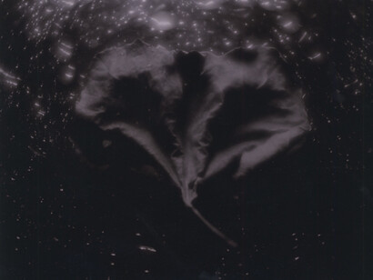 Women of the West. Courtesy of Scott Nichols Gallery