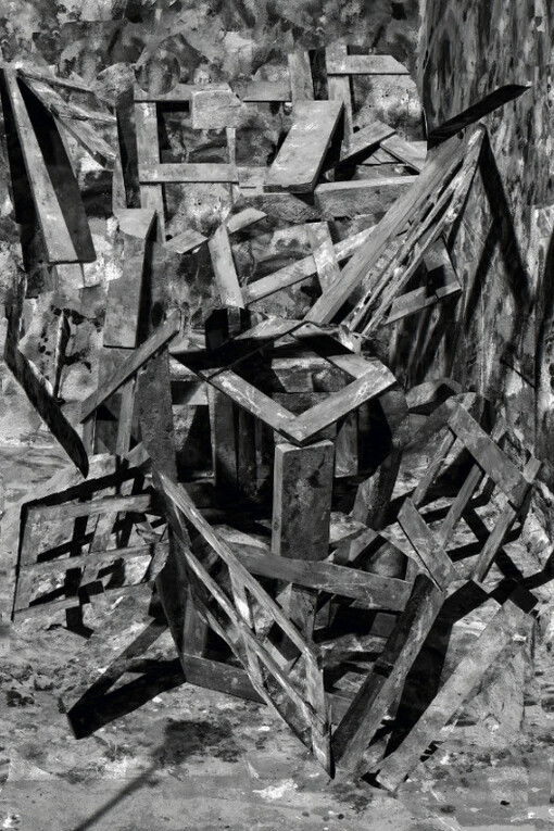 Nico Krijno. Courtesy of Elizabeth Houston Gallery