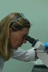 Tatiana Coelho de Sampaio. Criada a partir de proteínas extraídas da placenta humana, a polilaminina pode ser aplicada diretamente na área lesionada da medula espinhal, promovendo a regeneração dos circuitos nervosos e a recuperação das funções motoras anteriormente comprometidas