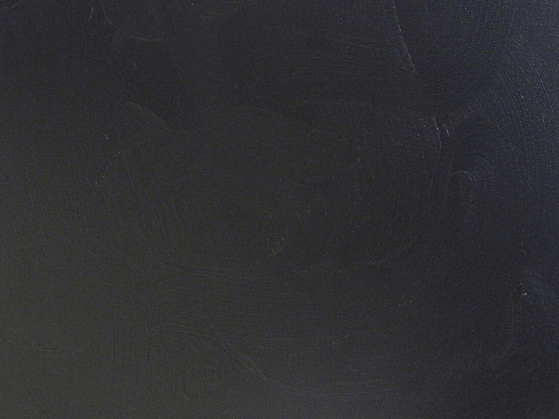 Davide Mancini Zanchi, TT, acrilico, carta adesiva (carbon-look) su tela, 46x28cm,2014.Courtesy AplusB, Brescia