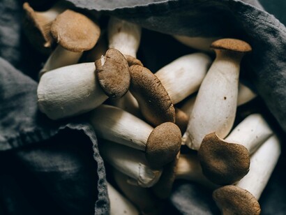 La struttura compatta del fungo cardoncello lo rende perfetto anche per imitare la carne in piatti vegetariani o vegani 