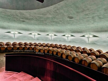 La cattedrale del vino