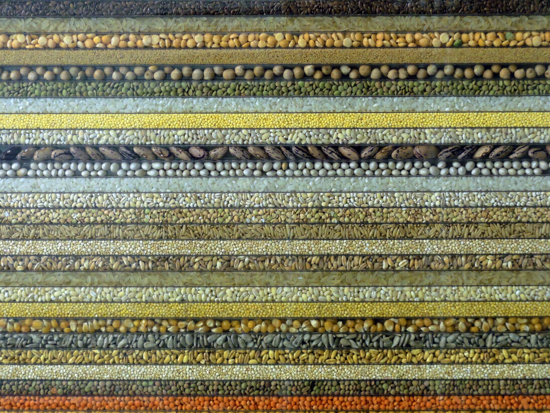 Loris Cecchini, The polychromeseedsessions (collection 1), 2015, natural seeds incapsulated into UV-shielded alveolar polycarbonate, wood and metal frame, 151 x 201 x 5 cm