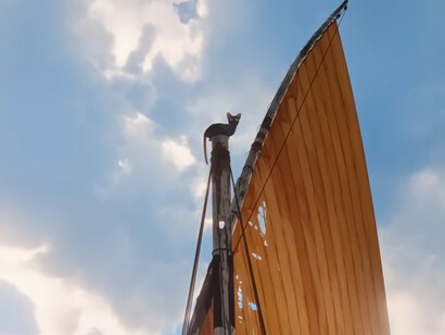 Il film è una metafora potente sulla solidarietà e la cooperazione, mostrando come diverse specie collaborano per sopravvivere in un ambiente ostile