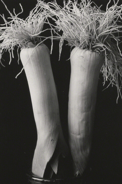 Betsy Crowell. Courtesy of John Davis Gallery