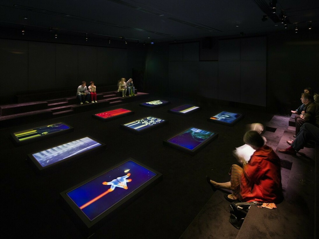 Le Grand Orchestre des Animaux, Exhibition view. Courtesy of Fondation Cartier