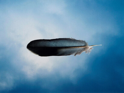 Michael Riley, Untitled (feather) (detail), 2000, printed 2005–09, from the series cloud. Courtesy of Art Gallery of NSW