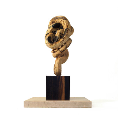 Polly Morgan, Seasonal Cessation