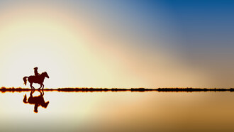 La libertà è un concetto innato per la coscienza umana 