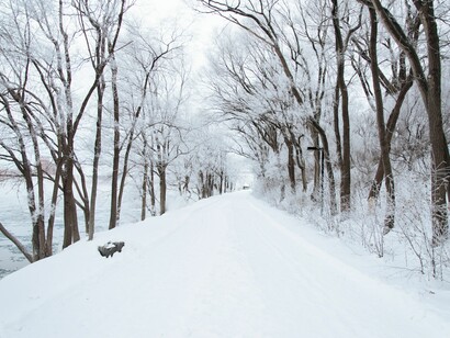 El poema es perspectiva sobre el mundo