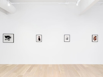 Lynn Hershman Leeson, Deep fake, exhibition view. Courtesy of Hoffman Donahue Gallery
