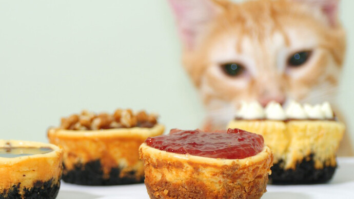 Un gato observa unos pasteles sobre la mesa