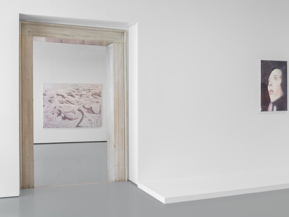 Luc Tuymans, Niger, 2017, Private collection, courtesy Zeno X Gallery, Antwerp, Twenty Seventeen , 2017, Pinault Collection. Installation View at Palazzo Grassi, 2019 © Palazzo Grassi, Photography by Delfino Sisto Legnani e Marco Cappelletti