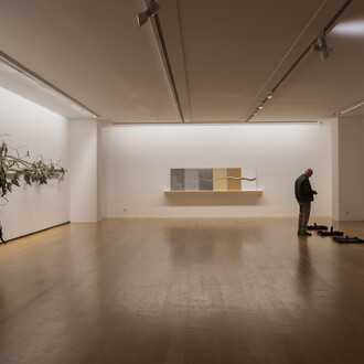 Alberto Ardid, Hay un lugar, vista de exhibición. Cortesía de MARCO