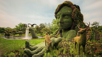 L’arte topiaria nacque nell’antica Roma all’epoca di Lucullo e Sallustio