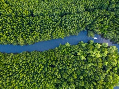 On our small but beautiful earth - made small by technology, made beautiful by nature - there is room for one group only: the family of humankind