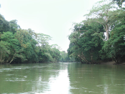 Panorámica del río Sarapiquí
