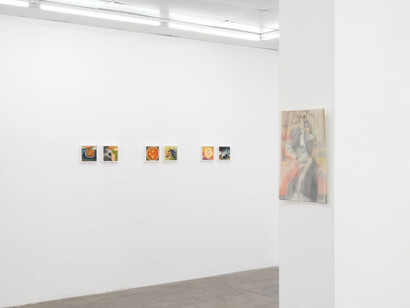 Caroline Weinstock, The dead pet, exhibition view. Courtesy of Bel Ami