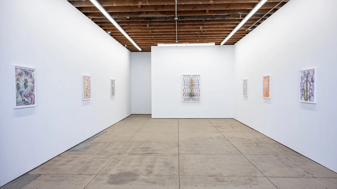 Francesca Gabbiani and Eddie Ruscha, The messengers, exhibition view. Courtesy of Wilding Cran Gallery