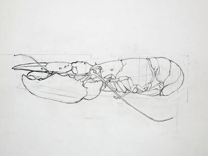 Patrick Caulfield, Study for ‘Reserved Table’, 2000, Pencil on paper, Pallant House Gallery, Wilson Gift through The Art Fund © Janet Nathan Caulfield
