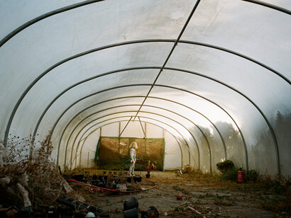 Frances Kearney, Untitled III. Running Wild, 2013 © Frances Kearney