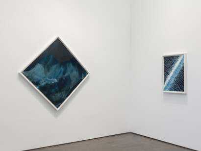 Ecotone. Courtesy of Yossi Milo Gallery 