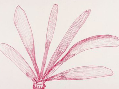 Louise Bourgeois. Courtesy of Fondation Beyeler