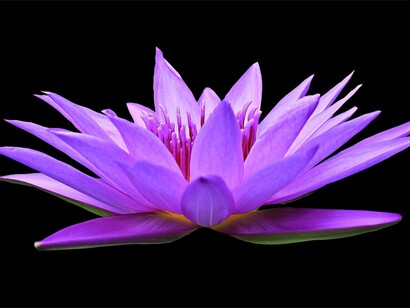 Many women are convinced that to be happy it is necessary to have luck 