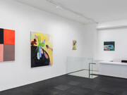 Rosalind Nashashibi, Tender horse, exhibition view. Courtesy of Galerie Urs Meile