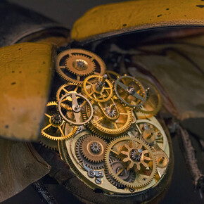 Gaby Wormann, Dynastes Hercules (detail)