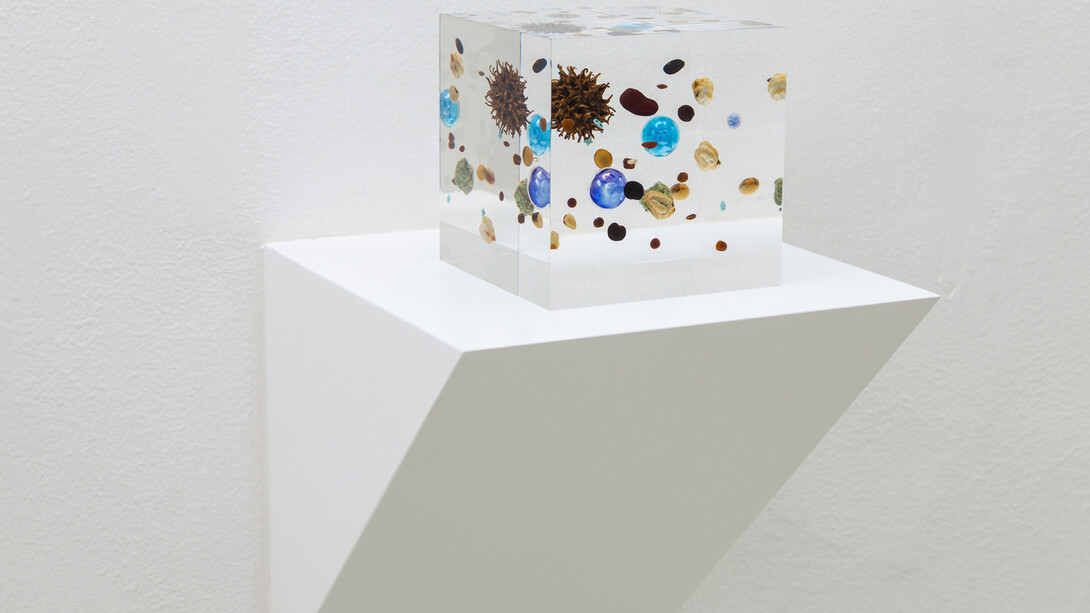 Satoshi Hirose, Beans Cosmos, 2014, resina acrilica, legumi, oro, mappa, marmo, plastica, frutto di Liquidambar styraciflua, 10 x 10 x 10 cm, Courtesy Galleria Umberto Di Marino, Napoli, Italy,
foto Danilo Donzelli