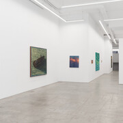 Angela Lane, Illuminations, exhibition view. Courtesy of Anat Ebgi