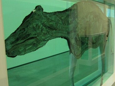 Damien Hirst’s Mother and Child Divided (1993), shown here in detail, combines glass, painted steel, silicone, acrylic, monofilament, stainless steel, and formaldehyde solution to present a cow and calf divided into sections, unsettling the viewer with its stark meditation on life, death, and fragmentation