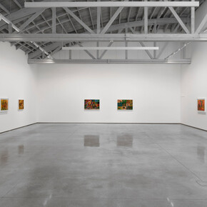 Chico da Silva, Amazônico, exhibition view. Courtesy of David Kordansky Gallery