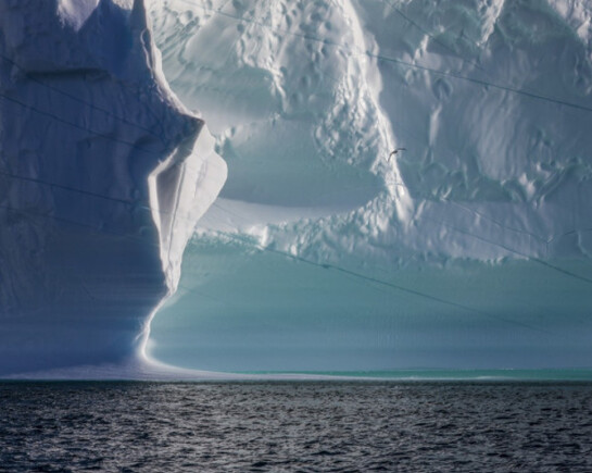 The Arctic Melt. Courtesy of Marlborough Gallery