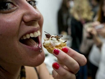 Mujer a punto de ingerir un "pincho" de chapulín